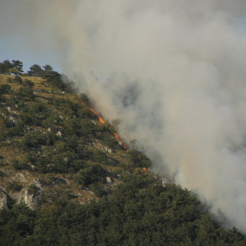 incendio localit‡ Cava Scoria - San Giuseppe f. 1 / 15390