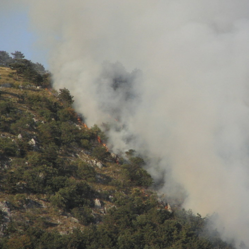 incendio localit‡ Cava Scoria - San Giuseppe f. 2 / 15391