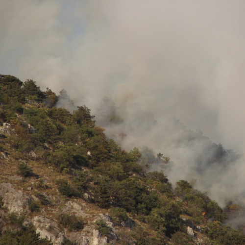 incendio localit‡ Cava Scoria - San Giuseppe f. 4 / 15393