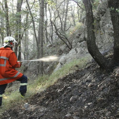 incendio localit‡ Cava Scoria - San Giuseppe f. 9 / 15398
