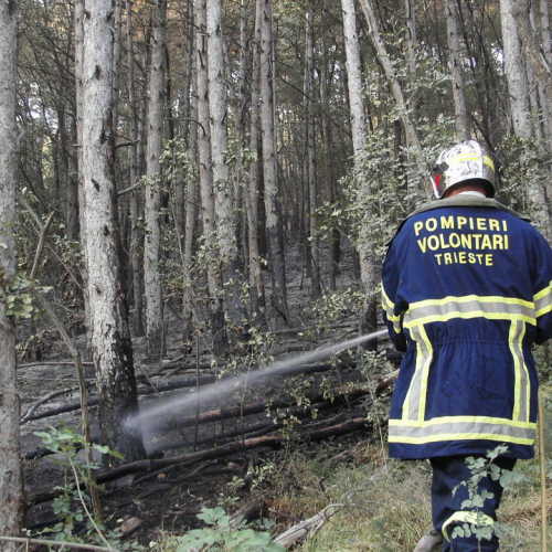 incendio localit‡ Cava Scoria - San Giuseppe f. 10 / 15399