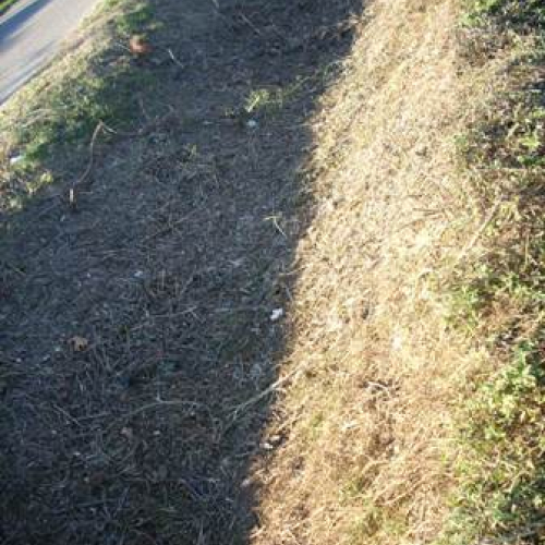 Interventi a Lauzacco n. 2 / 32565