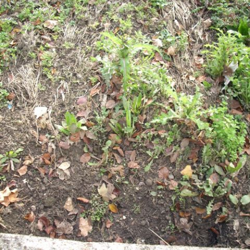 Interventi a Lauzacco n. 5 / 32568