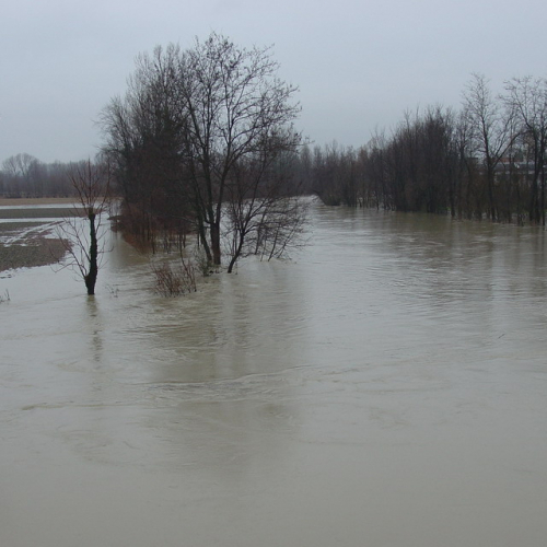 Brugnera n. 4 / 34325