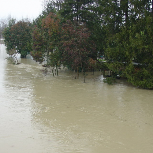 Brugnera n. 8 / 34329