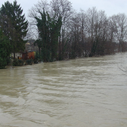 Brugnera n. 10 / 34331