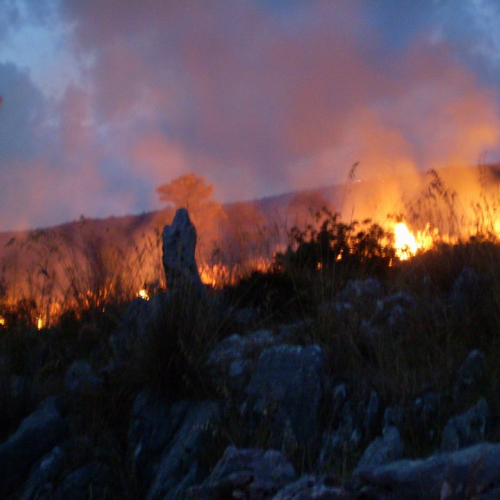 foto 11-31/08 n. 12 / 16320