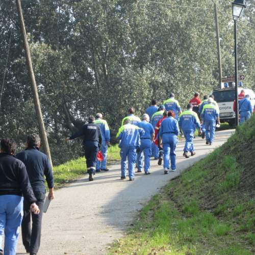Chiusura Campo Friuli di Mirandola n. 32 / 87328