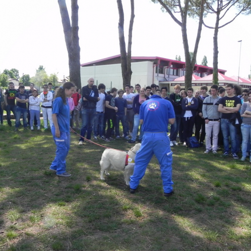 Prova di evacuazione al Malignani n. 49bis / 81081