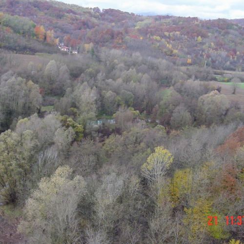 foto Malina a3 / 9037
