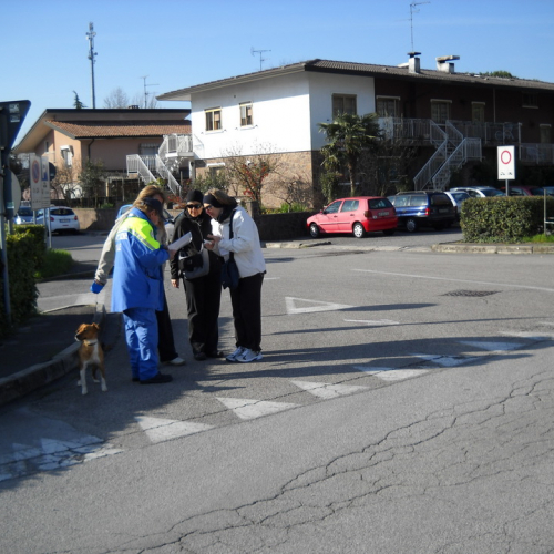 Attivit‡ di supporto 07/04/13 n. 8 / 93248