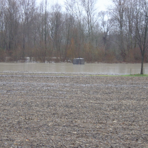 Pordenone: fiume Meduna (1) / 34315