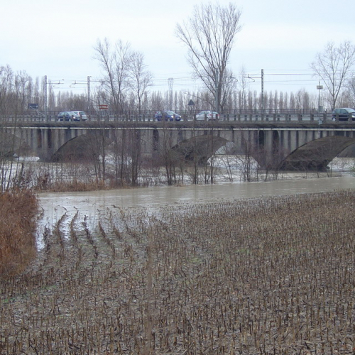 Pordenone: fiume Meduna (2) / 34316