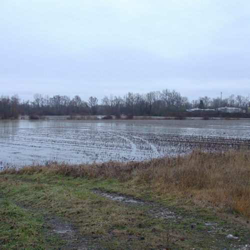 Pordenone: fiume Meduna (3) / 34317