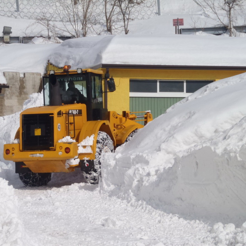 Interventi volontari a Montecopiolo n. 15 / 75744