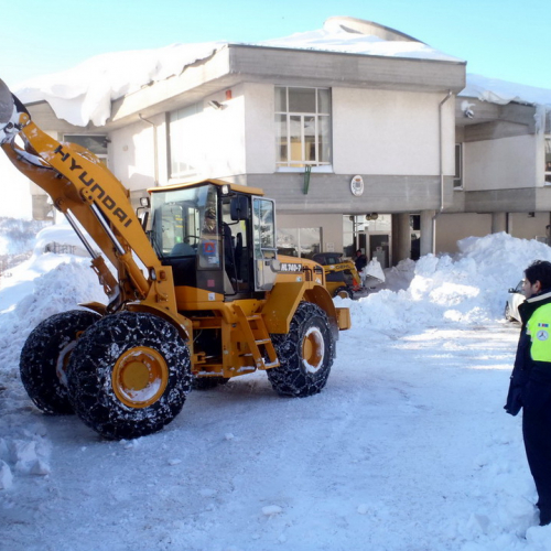 Interventi volontari a Montecopiolo n. 23 / 75752