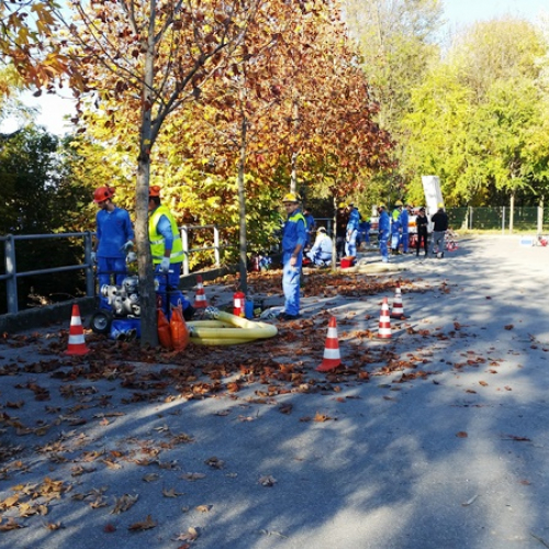 motopompe arzene 2015 / 115305