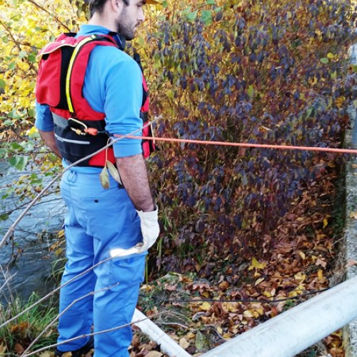 motopompe arzene 2015 / 115317