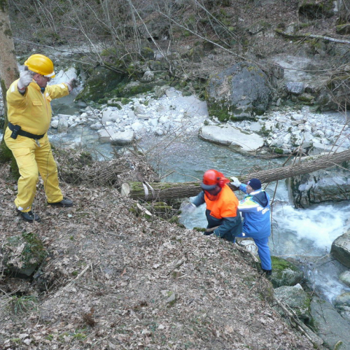 Attivit‡ addestrativa 15/02 n. 3 / 35203