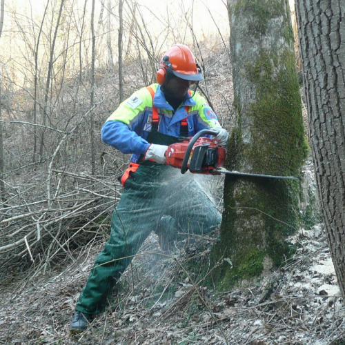 Attivit‡ addestrativa 15/02 n. 5 / 35205