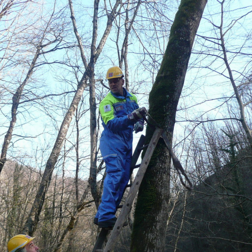 Attivit‡ addestrativa 15/02 n. 6 / 35206