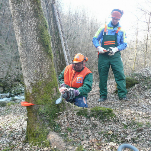 Attivit‡ addestrativa 15/02 n. 9 / 35209