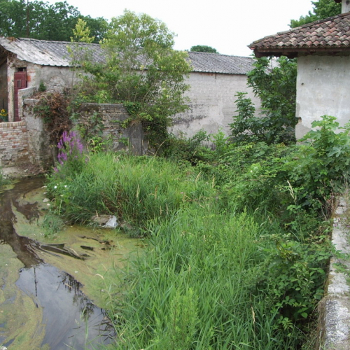 foto a monte del mulino prima / 22854