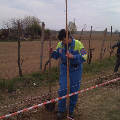 Operazione bosco pulito n. 2 / 79679