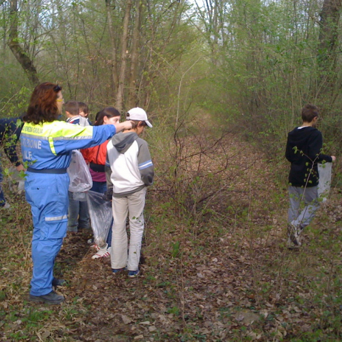 Operazione bosco pulito n. 6 / 79683