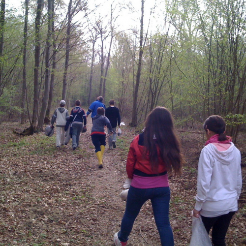 Operazione bosco pulito n. 8 / 79685