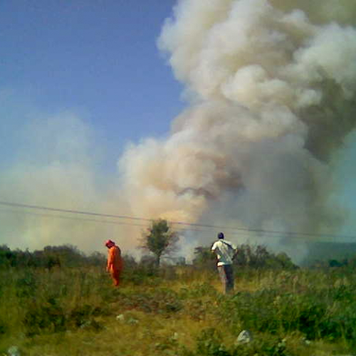 incendio del giorno 19 luglio 2006 sul Carso Goriziano a Fogliano Redipuglia 01 / 3922