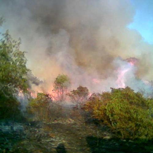 incendio del giorno 19 luglio 2006 sul Carso Goriziano a Fogliano Redipuglia 04 / 3925