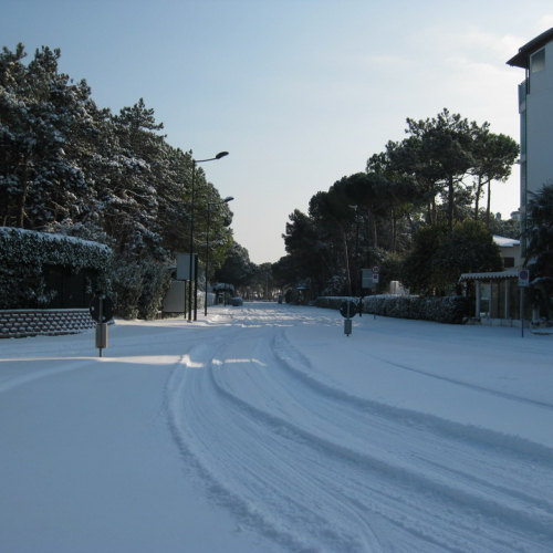Interventi per nevicata 19/12/09 n. 3 / 46675