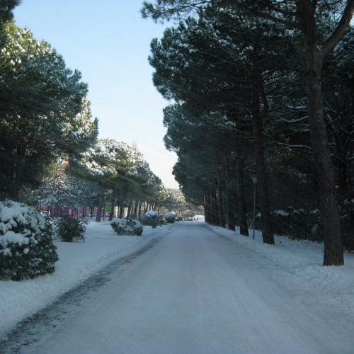 Interventi per nevicata 19/12/09 n. 1a / 46633