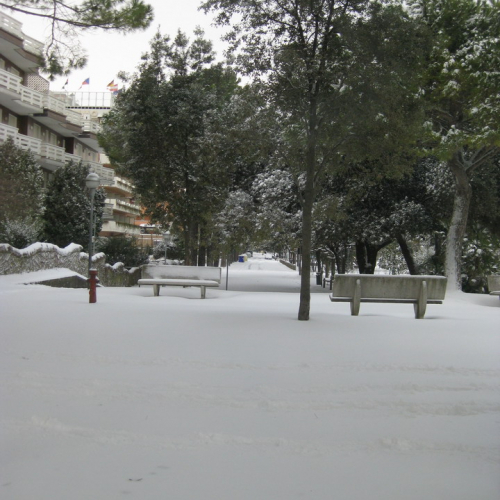 Interventi per nevicata 19/12/09 n. 4 / 46676
