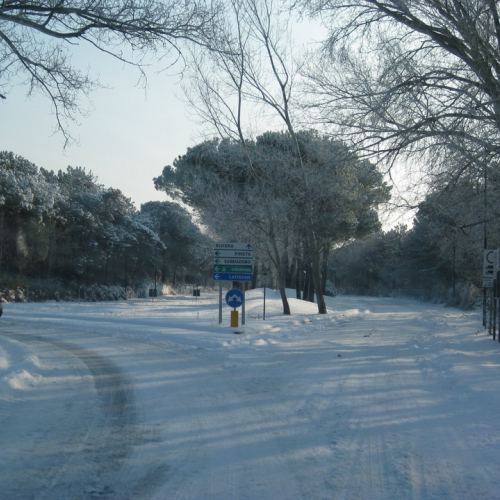 Interventi per nevicata 19/12/09 n. 8 / 46680