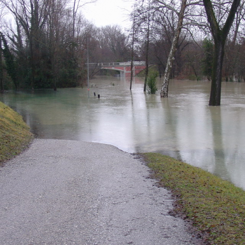 Pordenone: fiume Noncello (1) / 34319