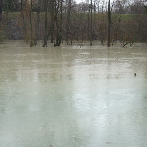 Pordenone: fiume Noncello (3) / 34321