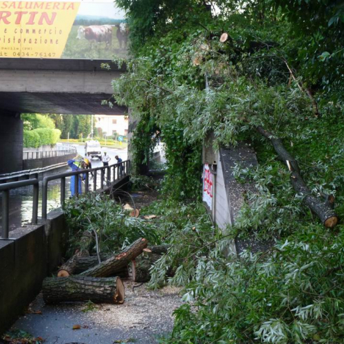 Maltempo Sacile 7.07.2008 7 / 27196