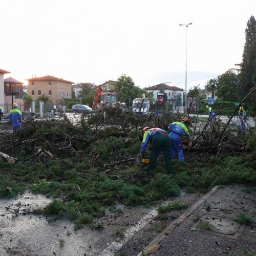 Maltempo Sacile 7.07.2008 8 / 27197