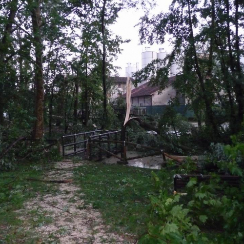 Maltempo Sacile 7.07.2008 10 / 27199