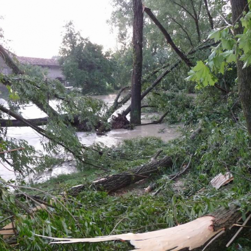 Maltempo Sacile 7.07.2008 11 / 27200