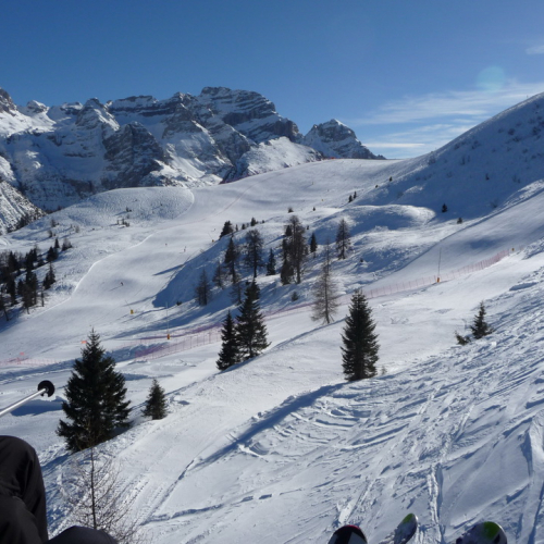 Campionati di Sci di PC 2013 n. 10 / 91254