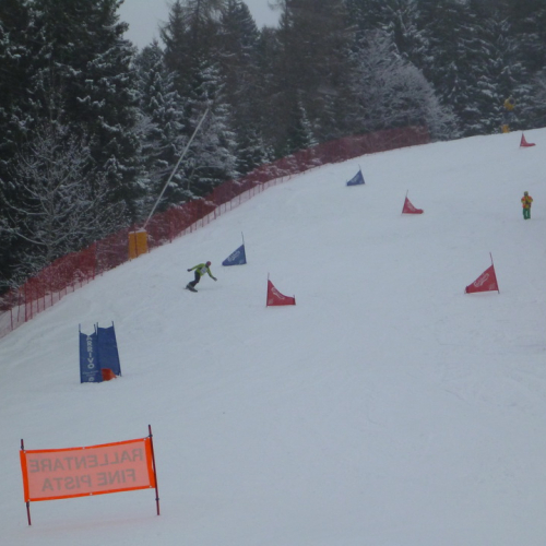 Campionati di Sci di PC 2013 n. 21 / 91265