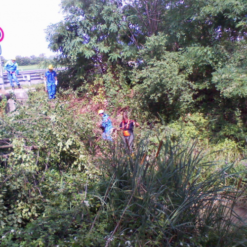 Interventi per maltempo 23/07 n. 5 / 54696