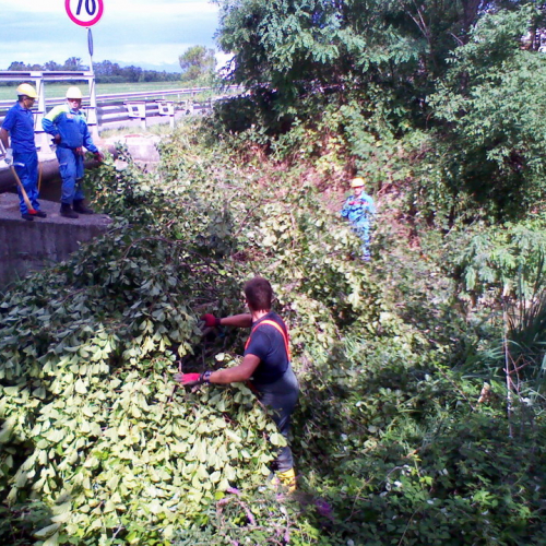 Interventi per maltempo 23/07 n. 7 / 54698