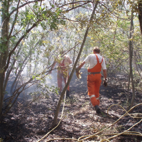 Incendio boschivo Visogliano n.A 6 / 85341