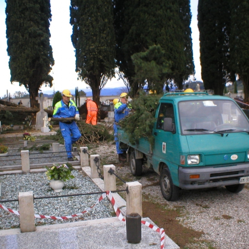 Foto 2 / 111728