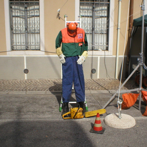 Attivit‡ per Festa dell'uva n. 10 / 70161