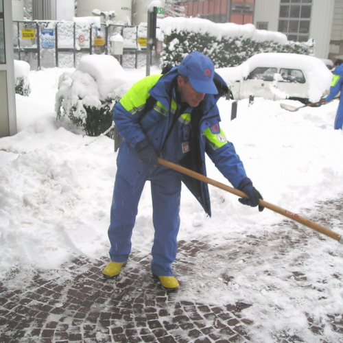 Milano 07/01/09 n. 37 / 33884